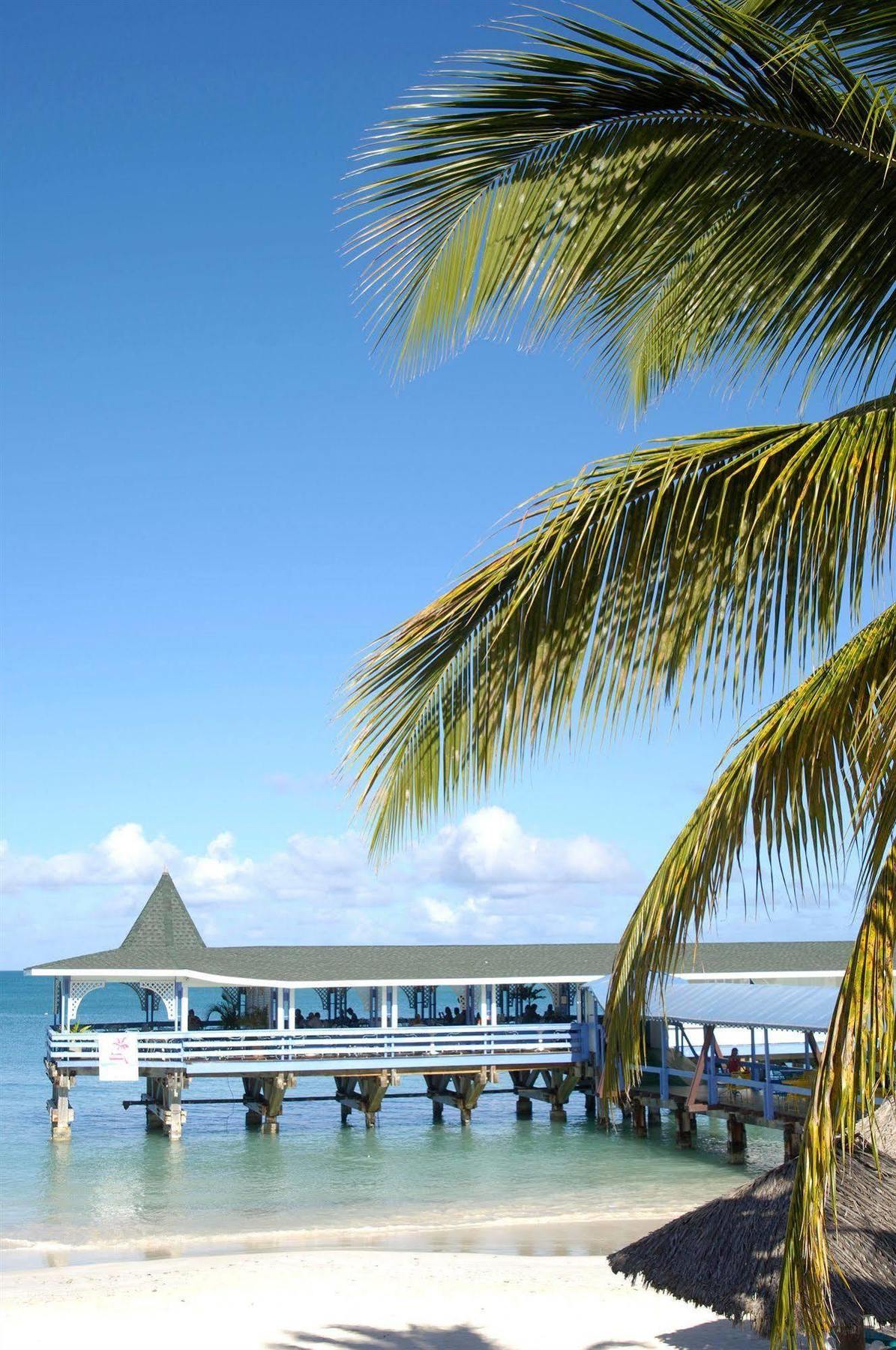 Starfish Halcyon Cove Hotel Dickenson Bay ภายนอก รูปภาพ